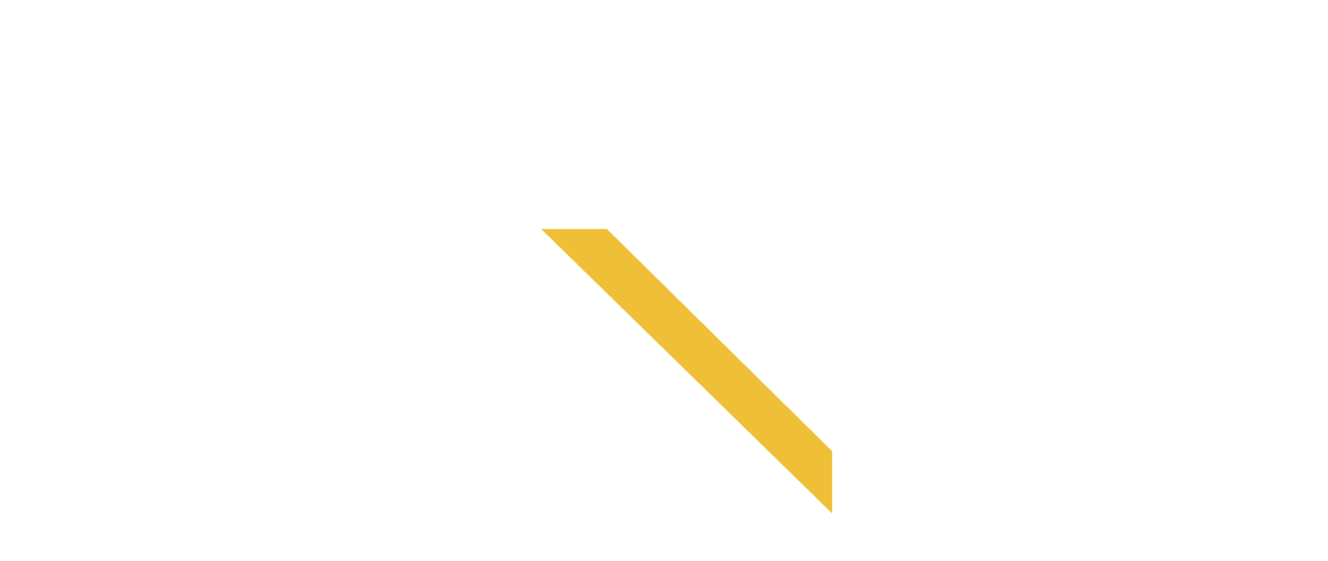 CLUB FENIX